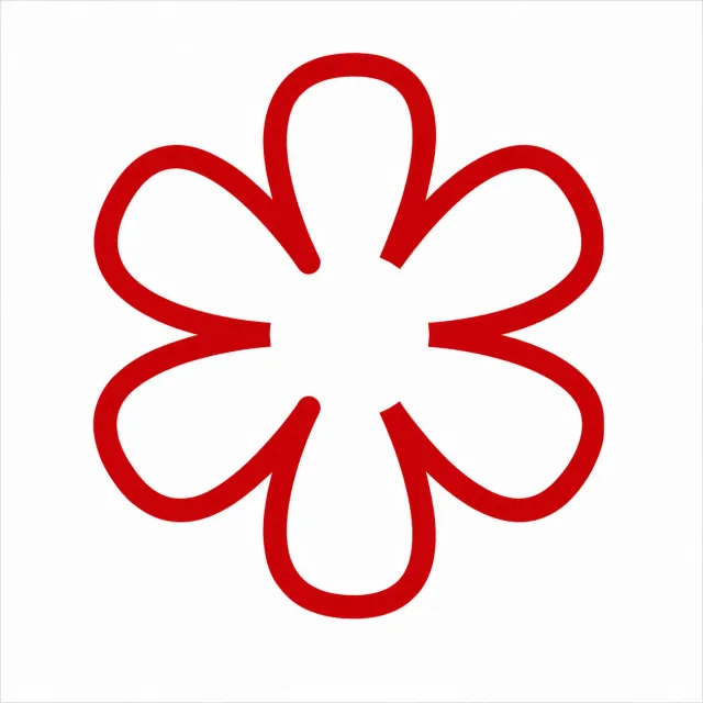 Le Nouveau Chef 2 Michelin broderie manche rouge